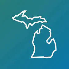 State of Michigan Department of Insurance and Financial Services