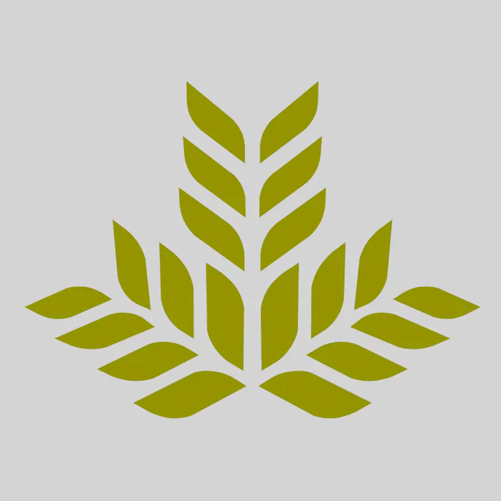 Northeast Georgia Health System